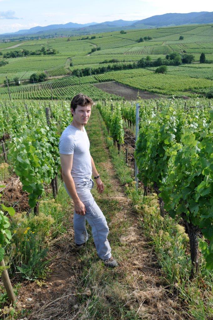 Vignoble du Rêveur｜ ヌーヴェル・セレクション Nouvelles Selections
